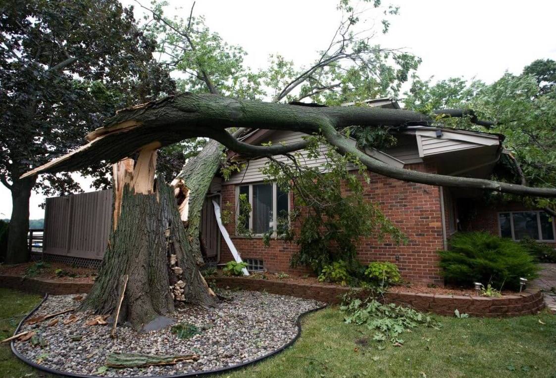 a tree fallen on house